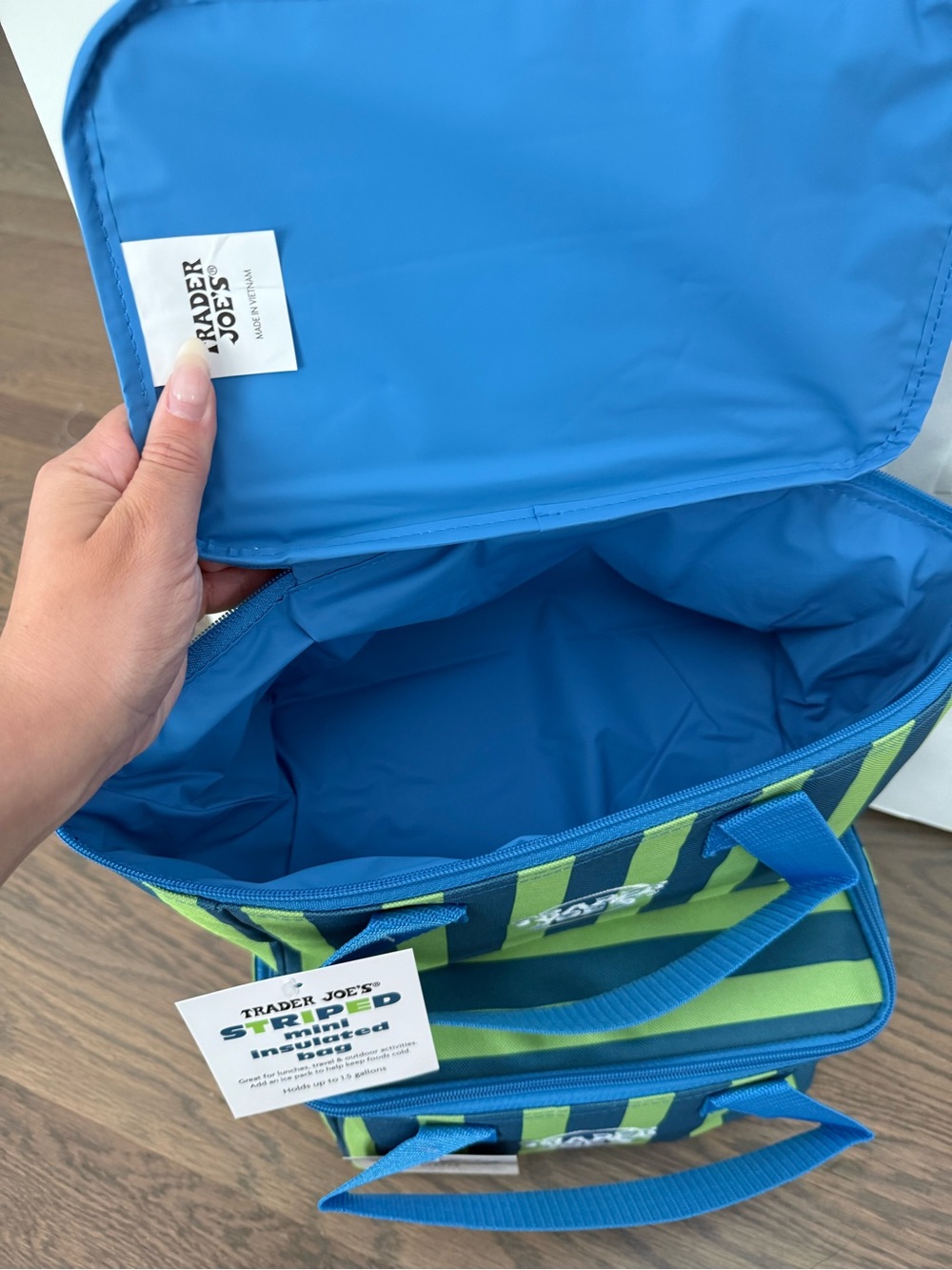 Trader Joe's Striped Mini Insulated Bag - Picture 7 of 7